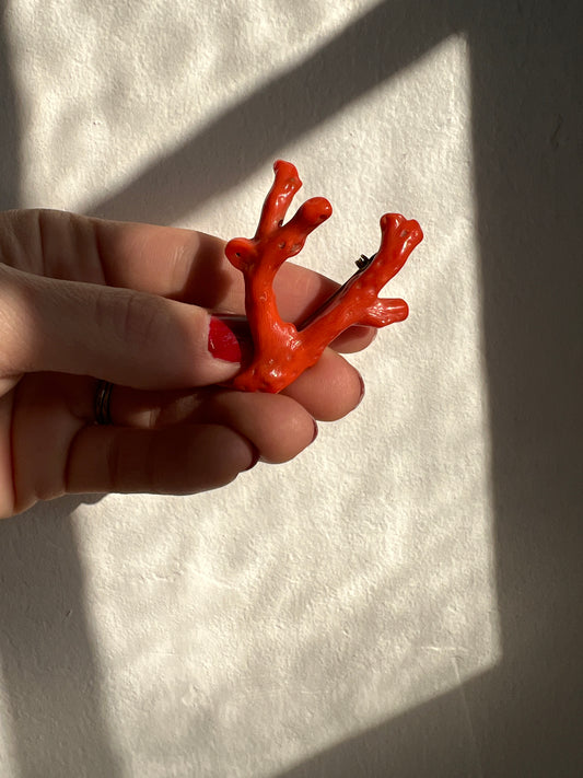 Victorian Natural Coral Branch Brooch 800 Silver Clasp